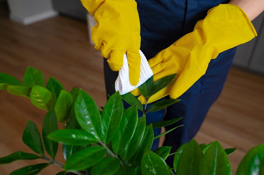 Green Cleaning Services